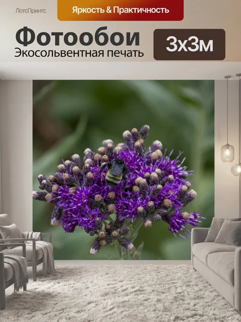 Фотообои пчела на полевых цветах