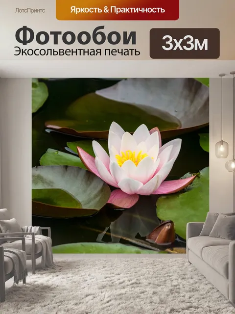 Фотообои Роза