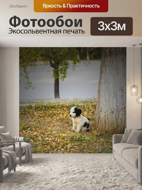 Фотообои Собака