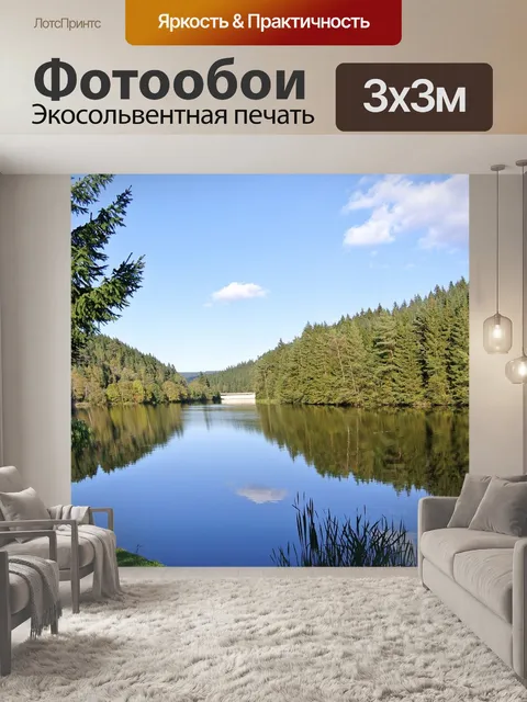 Фотообои Лес