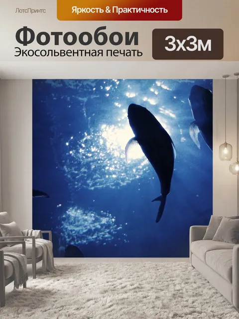 Фотообои Рыбы