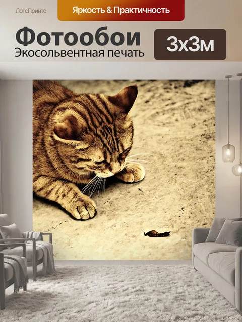 Фотообои Кот