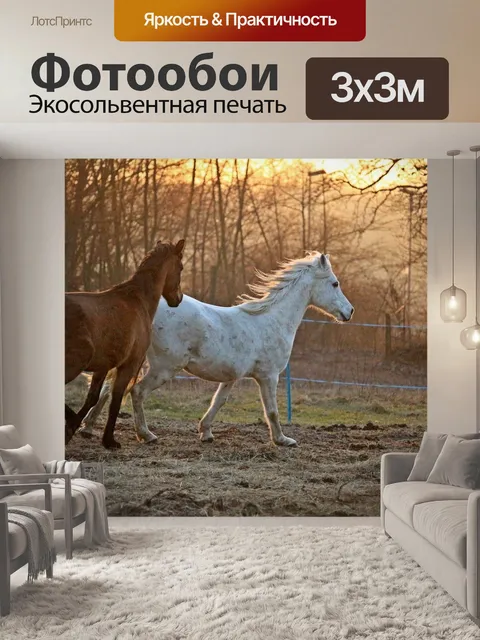 Фотообои Лошадь