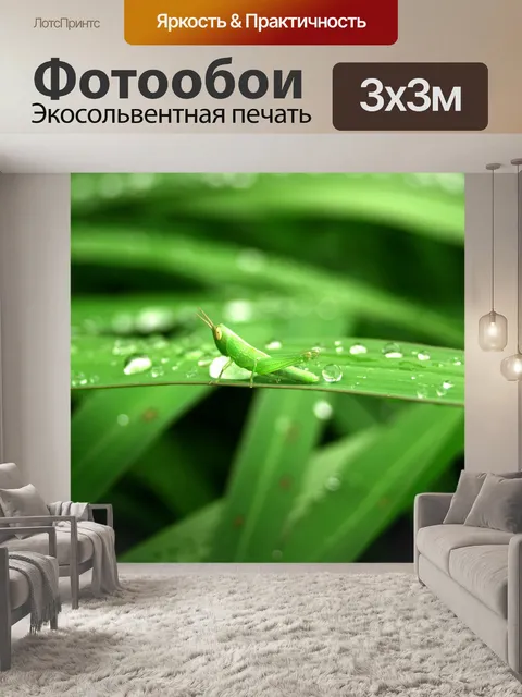 Фотообои Капля воды на листе