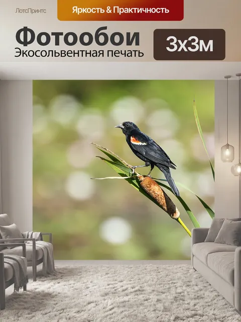 Фотообои Птица