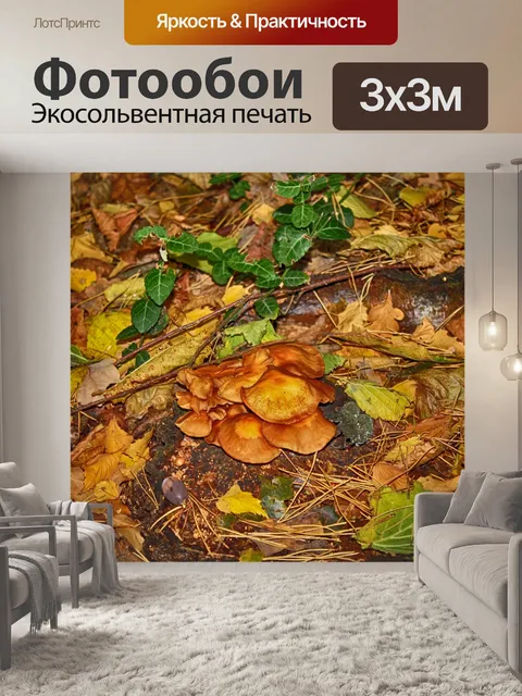 Фотообои грибы