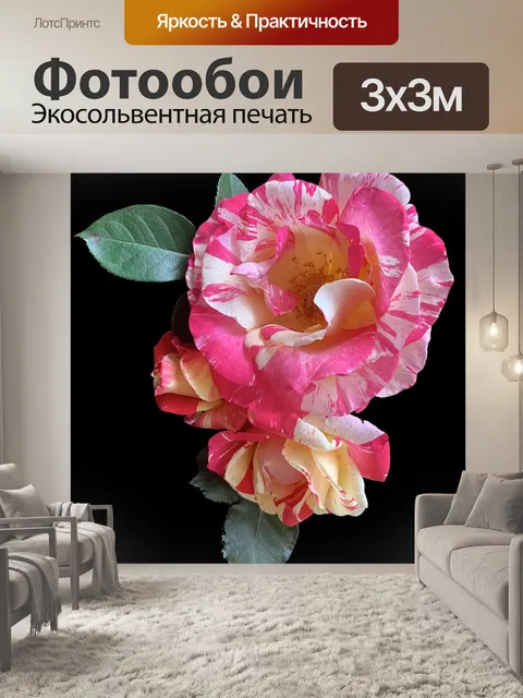 Фотообои Розы
