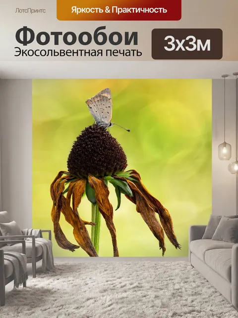 Фотообои Огонь фальтер