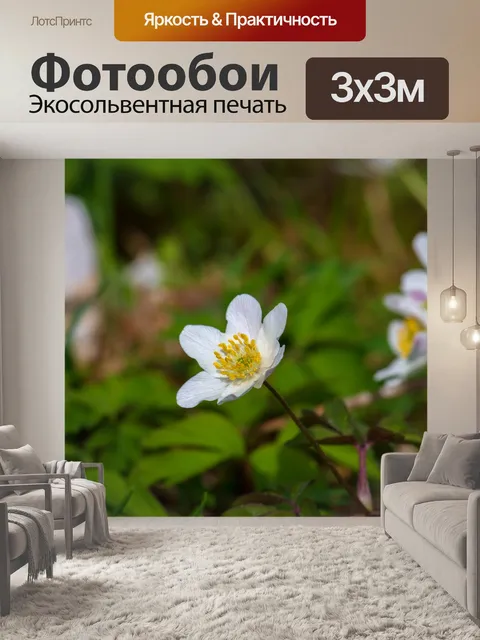 Фотообои Древесные анемоны