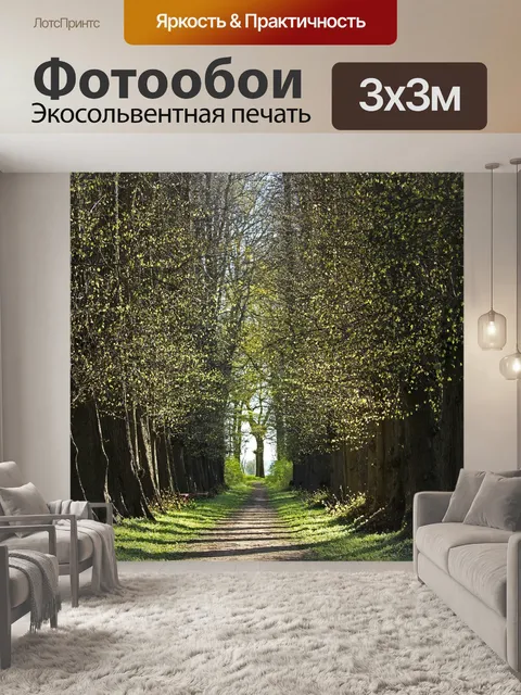 Фотообои Лес