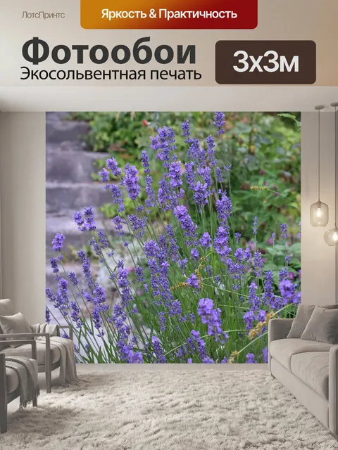 Фотообои Лаванда