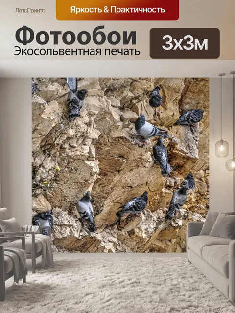 Фотообои Голуби на скале