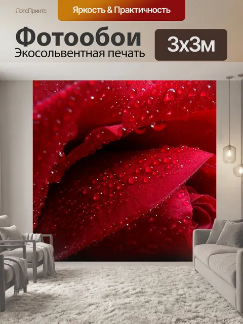 Фотообои Роза