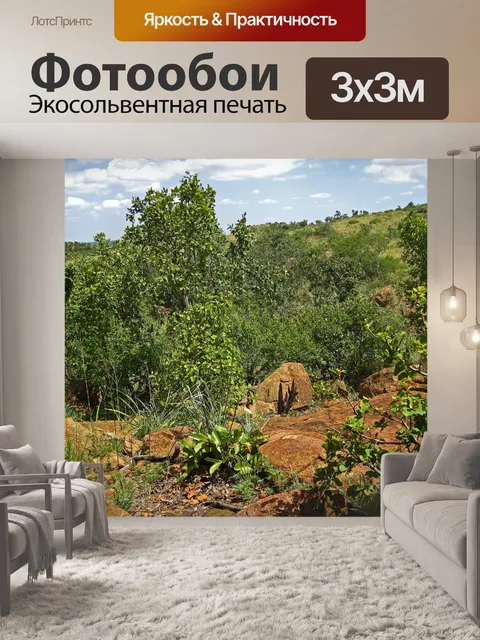 Фотообои растительность на походной тропе
