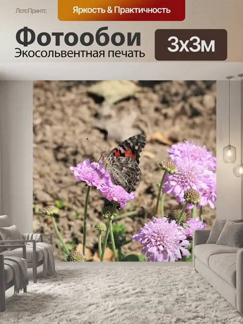 Фотообои Американская леди бабочка на цветке 1