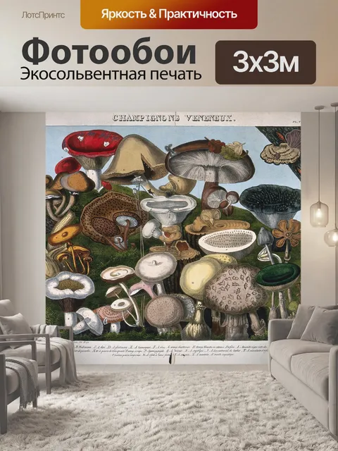 Фотообои Винтажная иллюстрация чемпиона грибов