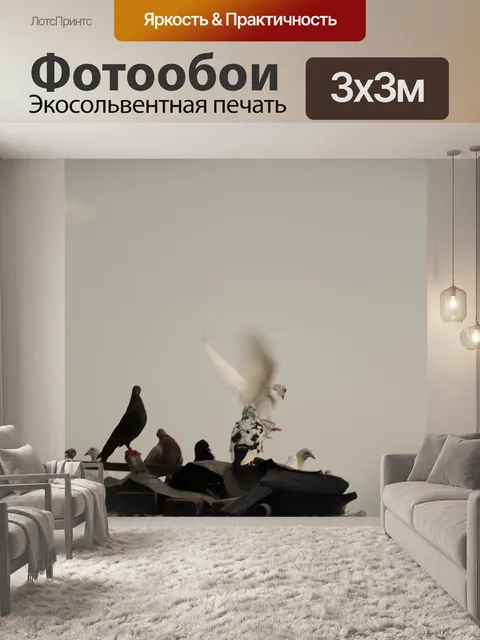 Фотообои Голубь
