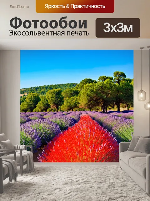 Фотообои прованс, живописный пейзаж с алыми полями лаванды и густыми сосновыми лесами на фоне голубого неба
