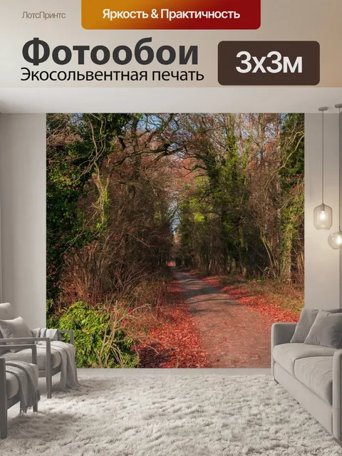 Фотообои Лес