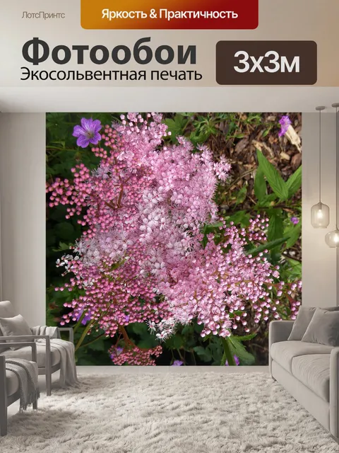 Фотообои Мини цветы