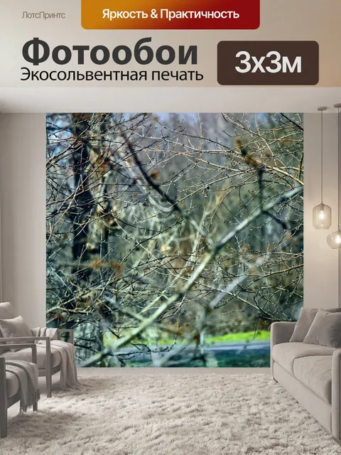 Фотообои Деревья