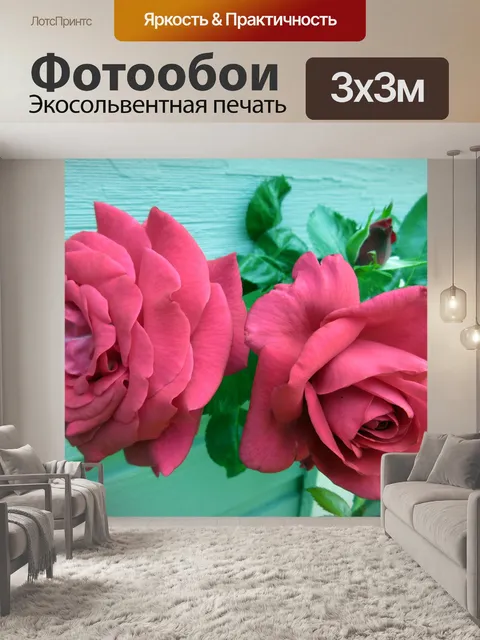 Фотообои две красные розы