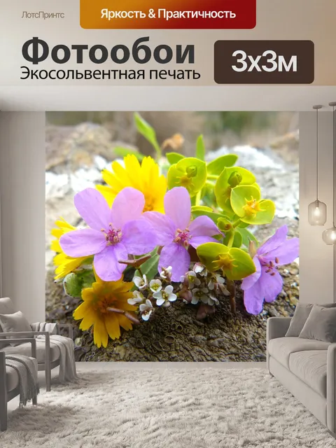 Фотообои Цветы