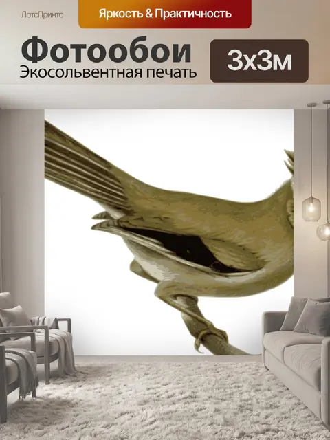 Фотообои Птица
