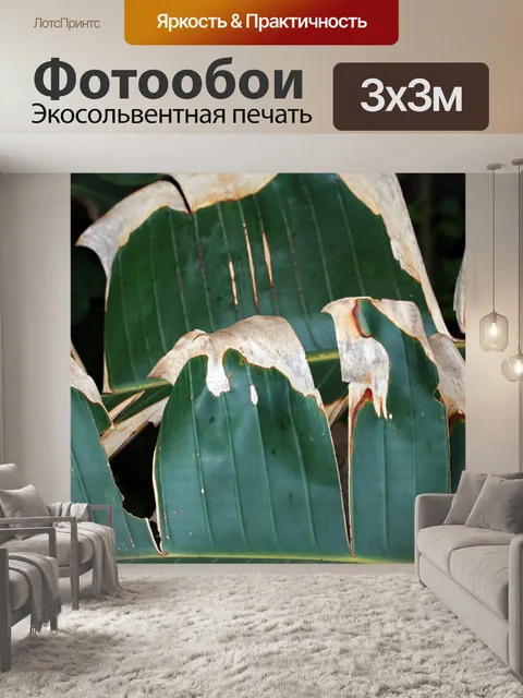Фотообои гниющие концы разорванного листа
