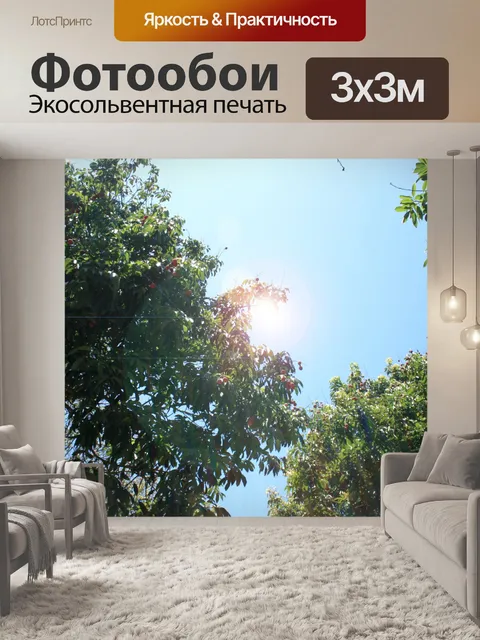 Фотообои блик на личи дереве