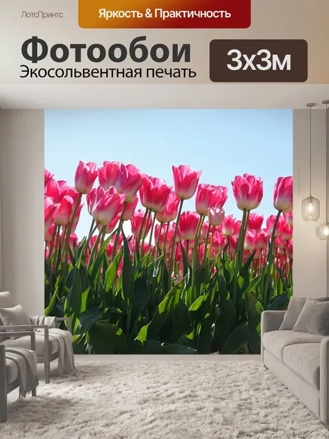 Фотообои Тюльпаны