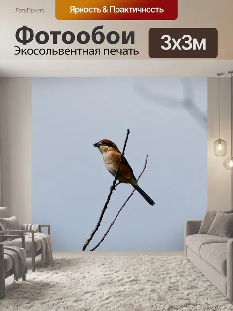 Фотообои Животное