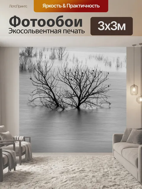 Фотообои Черно-белый