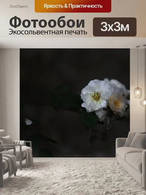 Фотообои Роза