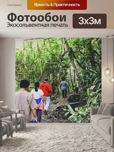 Фотообои Тропинка в садовых джунглях