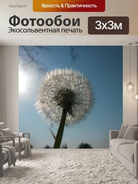 Фотообои Небеса
