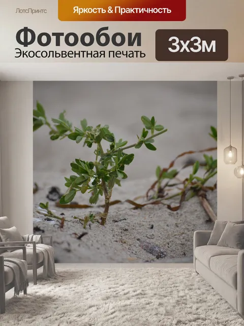 Фотообои Водоросли