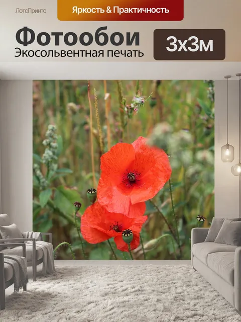 Фотообои Маки
