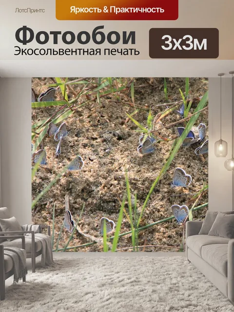 Фотообои Синий
