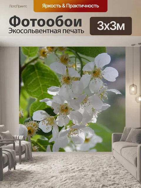 Фотообои Черемуха