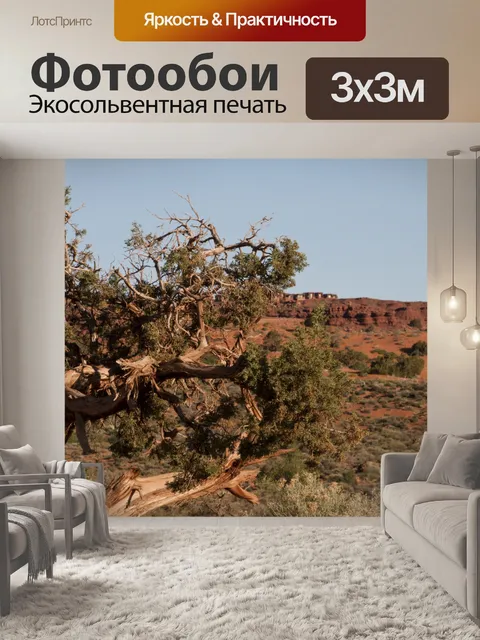 Фотообои Дерево пустыни