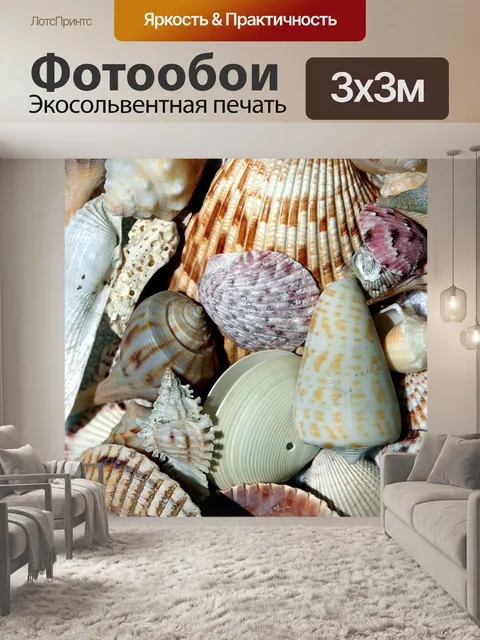 Фотообои Морские раковины Сборник на пляже