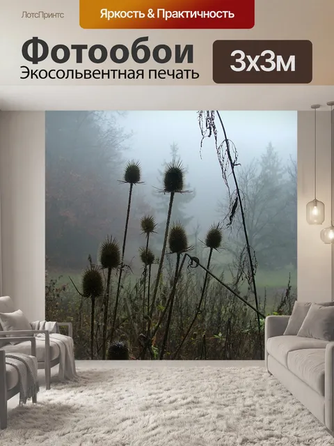 Фотообои Лес