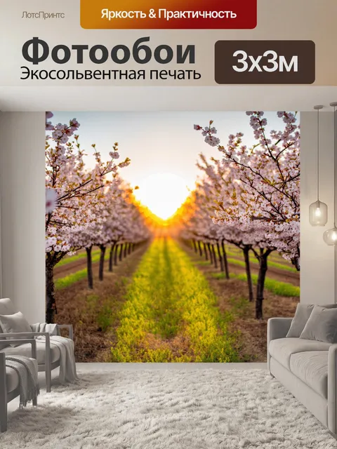 Фотообои закат в миндальном саду, где цветы распускаются, принимая тепло уходящего солнца и испуская сладкий аромат