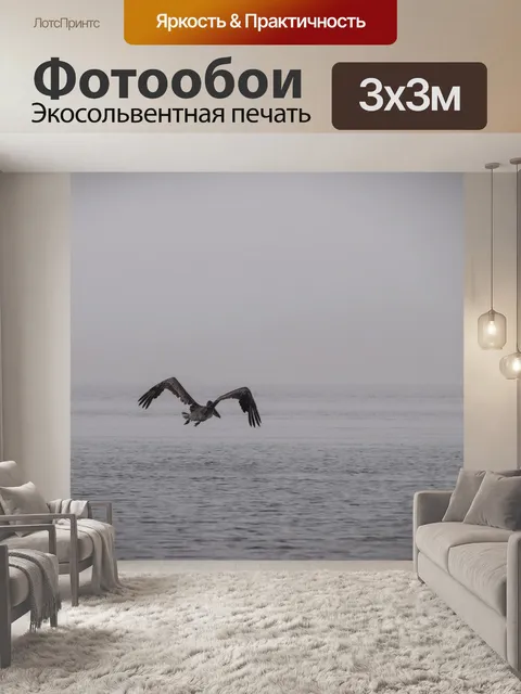 Фотообои Пеликан в полете