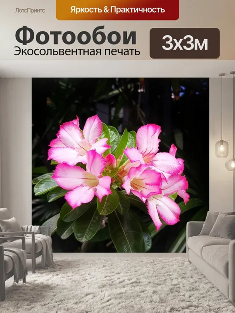 Фотообои Цветы
