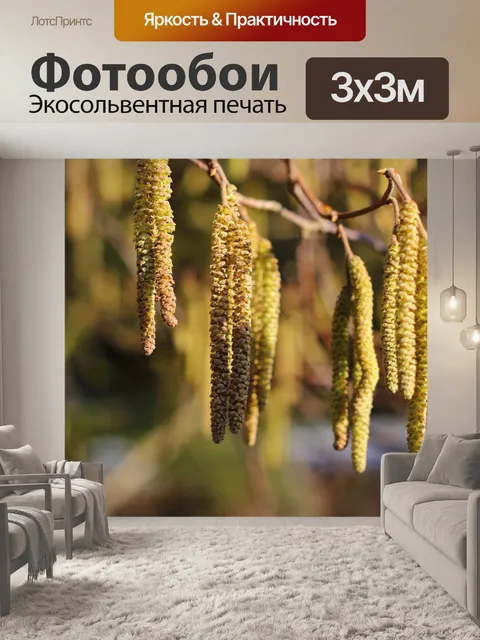 Фотообои Расцветает