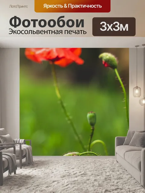 Фотообои Маки