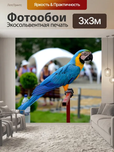 Фотообои Птица