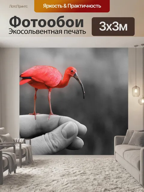 Фотообои Животное